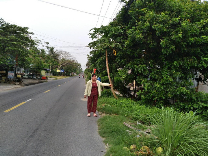 Vi phạm thủ tục tố tụng trong vụ kiện tranh chấp đất kéo dài ở An Giang - 4