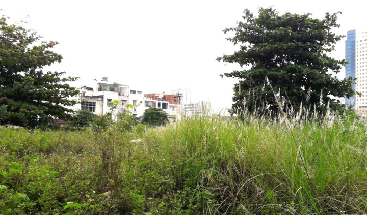 2 ‘siêu dự án’ giữa trung tâm không triển khai, Đà Nẵng xử lý thế nào? - 2