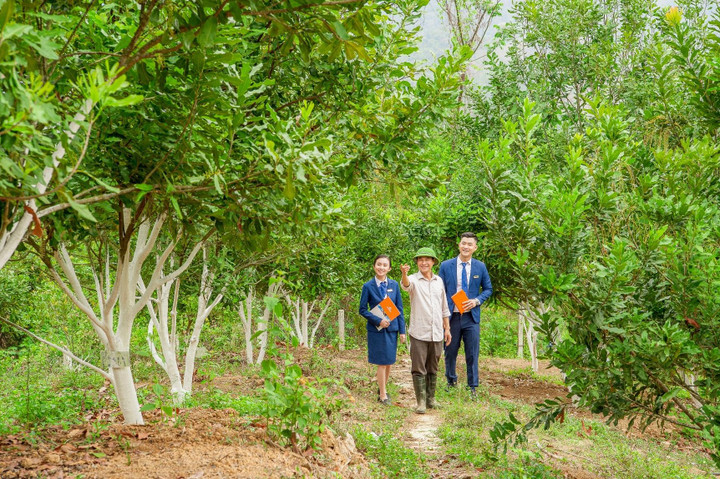 Nông nghiệp, bảo hiểm 'chắp cánh' thương hiệu LienVietPostBank - 2