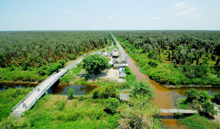 Về Cà Mau trải nghiệm du lịch xanh, đi bộ xuyên rừng U Minh hạ - 1