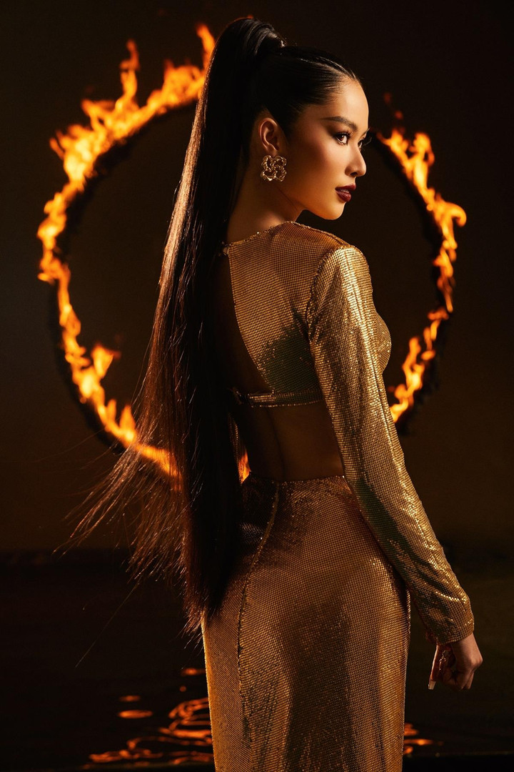 Ảnh: Lệ Nam trong tạo hình phượng hoàng lửa, lọt top 70 Miss Universe Vietnam - 10