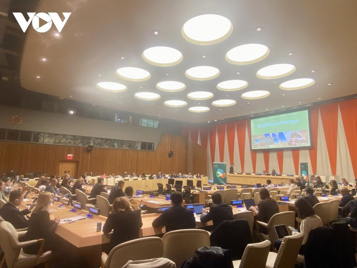 Việt Nam kêu gọi tăng cường các nỗ lực để giảm thiểu nạn đói do xung đột - 1