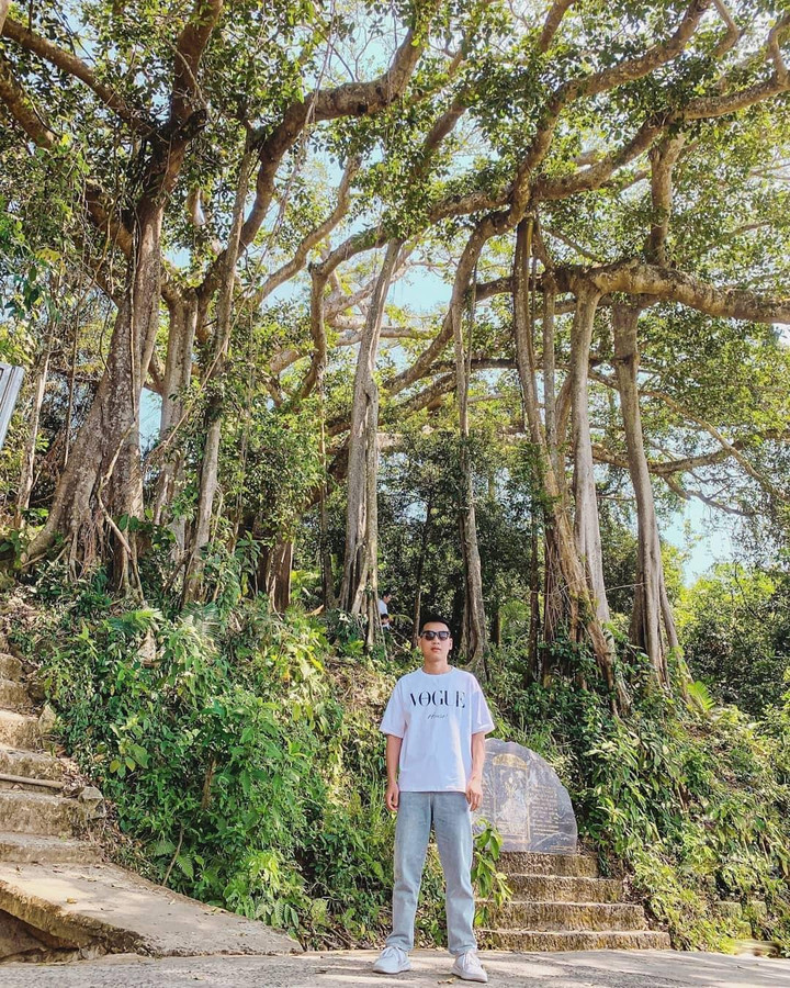 Choáng trước vẻ đồ sộ và kỳ vĩ của cây đa ngàn năm ẩn mình giữa bán đảo Sơn Trà - 10