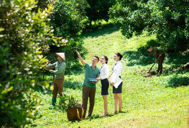 Cho vay chuỗi giá trị thúc đẩy phát triển kinh tế nông thôn bền vững - 2