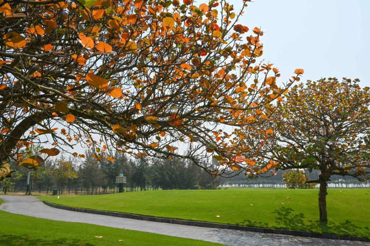 Khám phá hệ thống sân golf FLC qua loạt combo đặc biệt hè này - 2