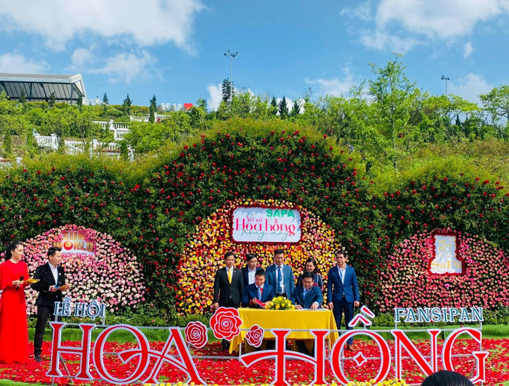 Lễ hội hoa hồng Fansipan 2022 khai màn thành công 'đại tiệc hè Sa Pa' - 3