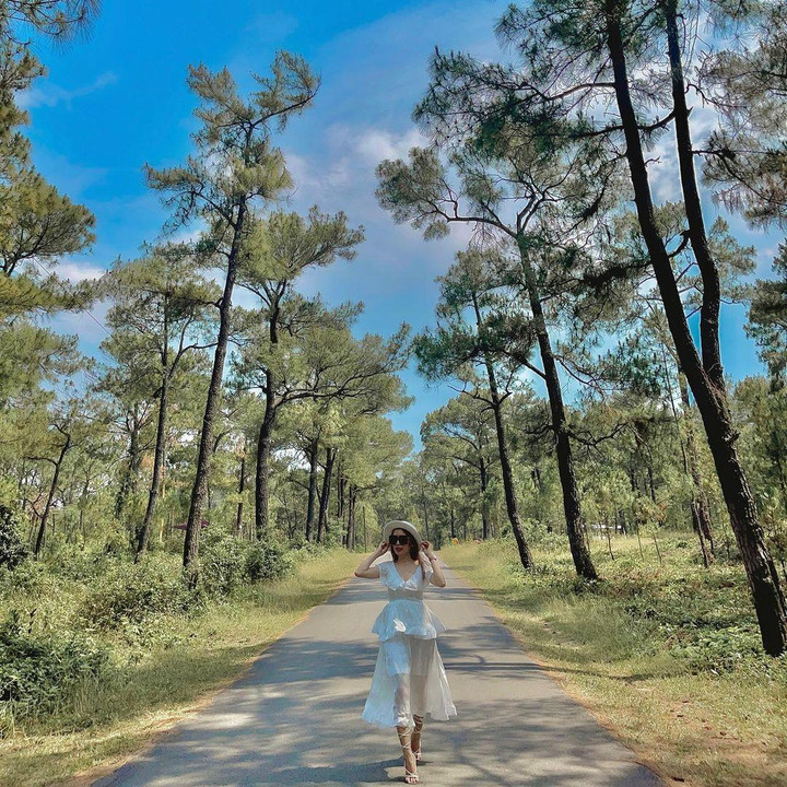 Mấy ai biết ở lòng cố đô Huế có một góc ‘Đà Lạt thu nhỏ’ chụp ảnh chill hết nấc - 6