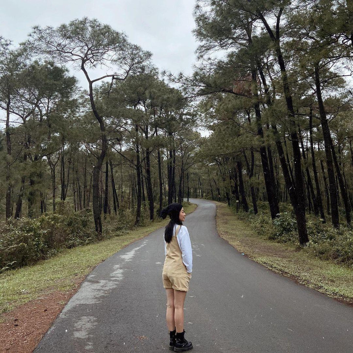 Mấy ai biết ở lòng cố đô Huế có một góc ‘Đà Lạt thu nhỏ’ chụp ảnh chill hết nấc - 2