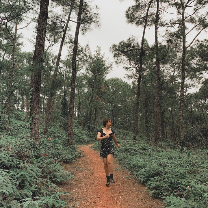 Mấy ai biết ở lòng cố đô Huế có một góc ‘Đà Lạt thu nhỏ’ chụp ảnh chill hết nấc - 5