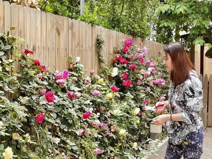 Châu Hải My chu chỉ nhược ảnh 6 Châu Hải My: Không cần tìm đàn ông cho vướng chân - 6