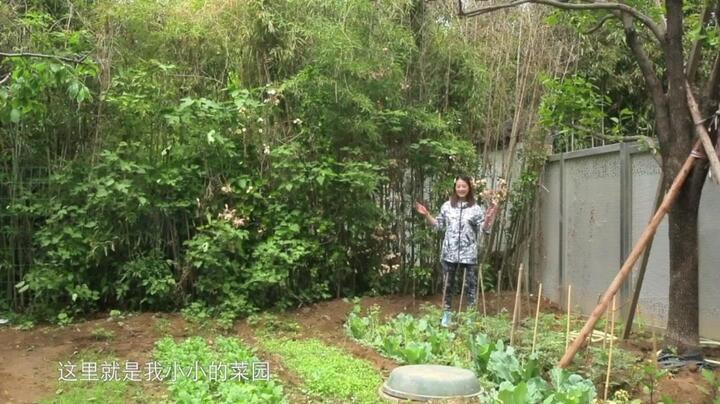 Châu Hải My chu chỉ nhược ảnh 5 Châu Hải My: Không cần tìm đàn ông cho vướng chân - 5