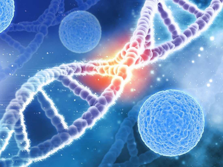 Cải thiện bạc tóc, rụng tóc cùng công nghệ đột phá từ Dr. Hatachi - 1