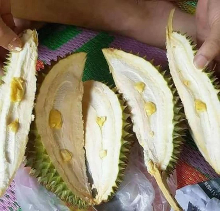 Team nghiện sầu riêng chỉ có nước khóc thét trước loạt 'thảm họa khui hàng' này - 2