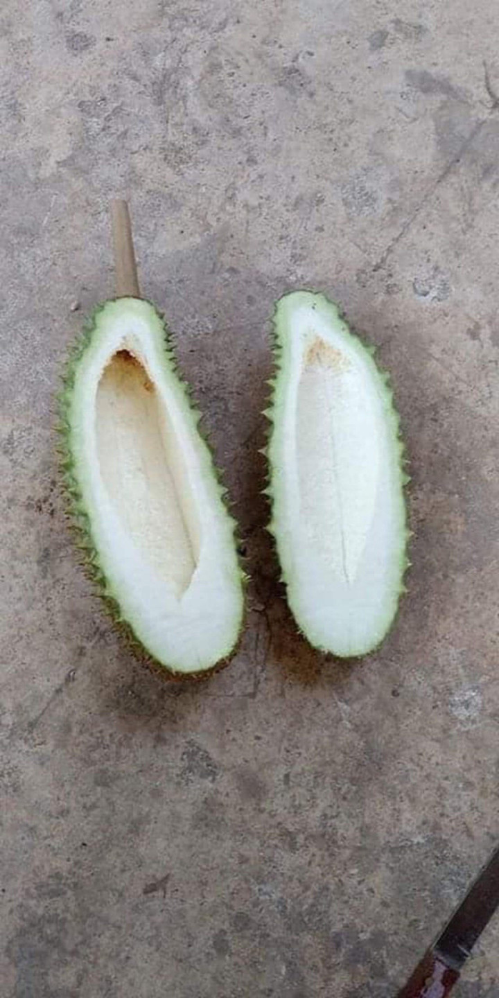 Team nghiện sầu riêng chỉ có nước khóc thét trước loạt 'thảm họa khui hàng' này - 3