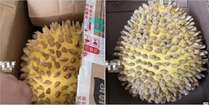 Team nghiện sầu riêng chỉ có nước khóc thét trước loạt 'thảm họa khui hàng' này - 9