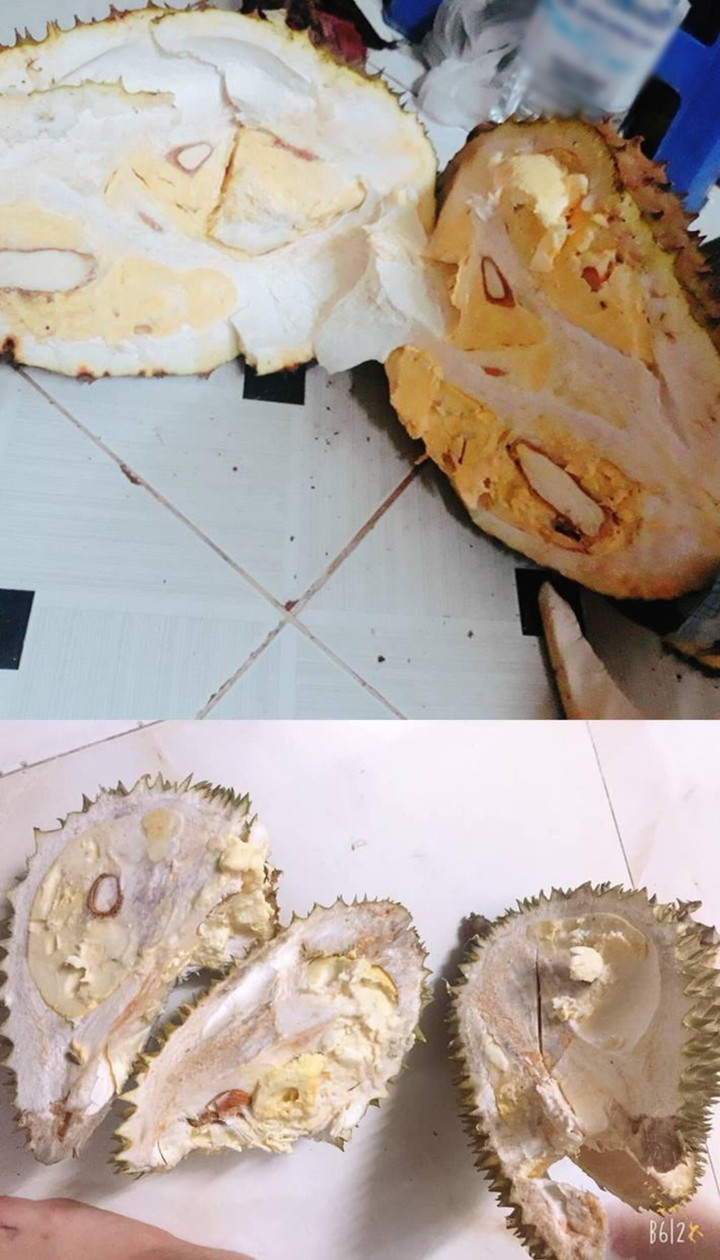 Team nghiện sầu riêng chỉ có nước khóc thét trước loạt 'thảm họa khui hàng' này - 5
