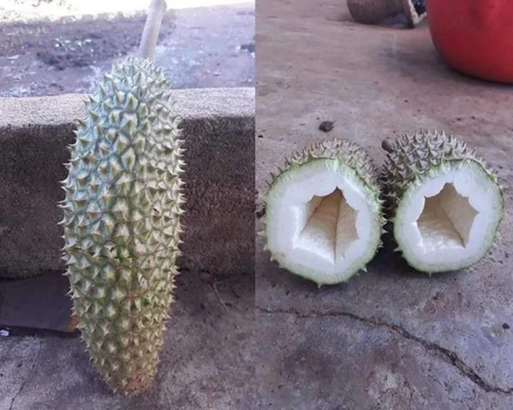 Team nghiện sầu riêng chỉ có nước khóc thét trước loạt 'thảm họa khui hàng' này - 4