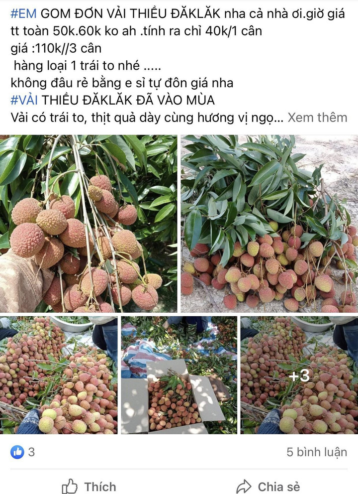 Vải đầu mùa xuất hiện, giá ‘chát’ nhưng vẫn cháy hàng - 4