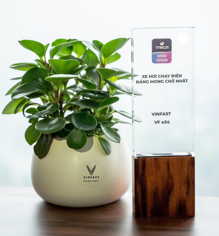 Dấu ấn kỷ lục của mẫu ô tô điện Việt đầu tiên sau một năm mở bán - 1
