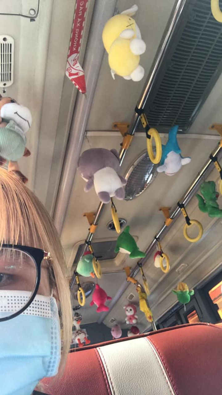 Góc ấm áp: Cả một bầu trời đáng yêu bất ngờ xuất hiện trên các chiếc xe buýt - 1