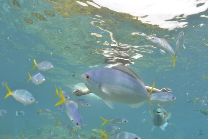 Tin tưởng nhờ bạn trai chụp hình, các cô gái nhận về loạt ảnh tức lộn ruột - 9