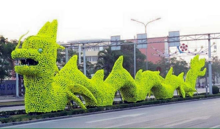 Cây duối tạo dáng hình rồng bị chê xấu ở Hạ Long: Công ty cây xanh nói gì? - 2