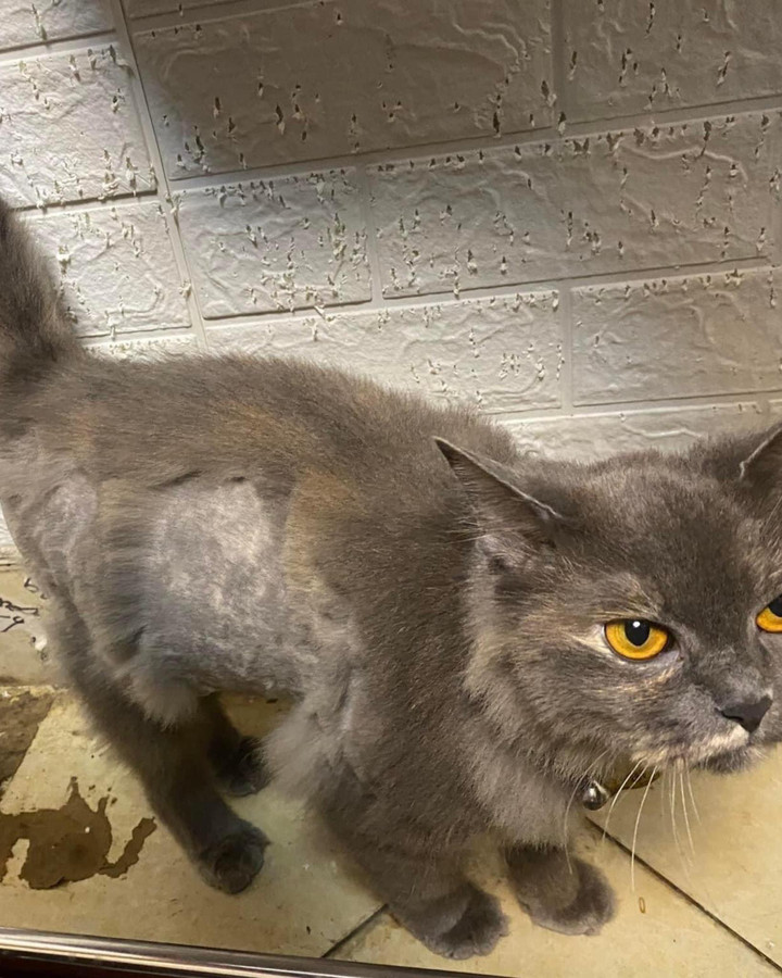 'Đẻ con gái thùy mị nết na': Bé gái khiến dân mạng hú hồn vì trò nghịch khó đỡ - 2