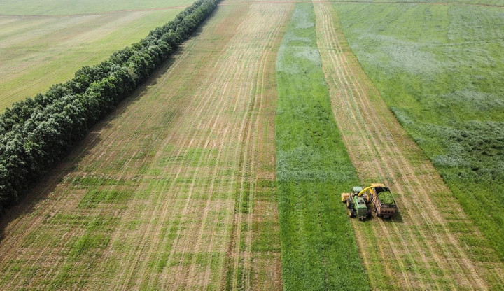 TH true MILK: Ly sữa tươi sạch tạo dựng thế hệ vàng - 2