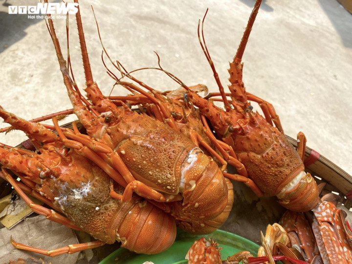 Những mẹt ghẹ vỉa hè Hà Nội kiếm chục triệu đồng mỗi ngày - 4