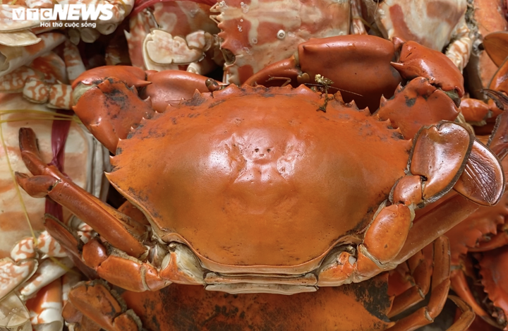 Những mẹt ghẹ vỉa hè Hà Nội kiếm chục triệu đồng mỗi ngày - 5