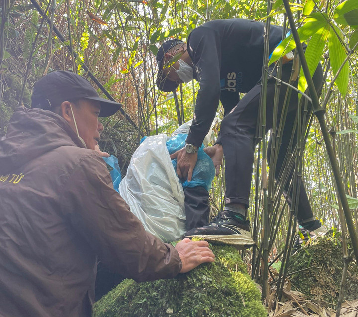 Người phụ nữ thoát chết thần kỳ kể lại 7 ngày dưới vực ăn dương xỉ, củ lạc tiên - 1