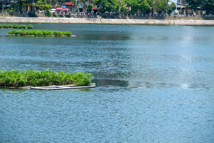 Hà Nội: Xuống hồ vợt cần câu cá, nam thanh niên đuối nước đến tử vong - 1