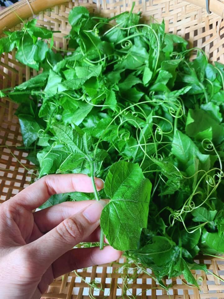 Màn rửa rau với ‘xà phòng’ gây hoang mang và sự thật không phải ai cũng biết - 4