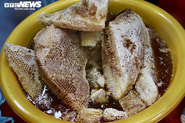 Ảnh: Theo chân thợ vào rừng U Minh Hạ bắt những tổ ong 'khổng lồ' - 1