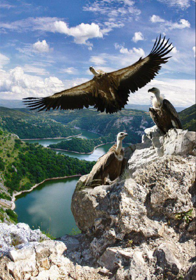 Khám phá hẻm núi kỳ vĩ với dòng sông uốn lượn vắt ngang như một con đèo nước - 7