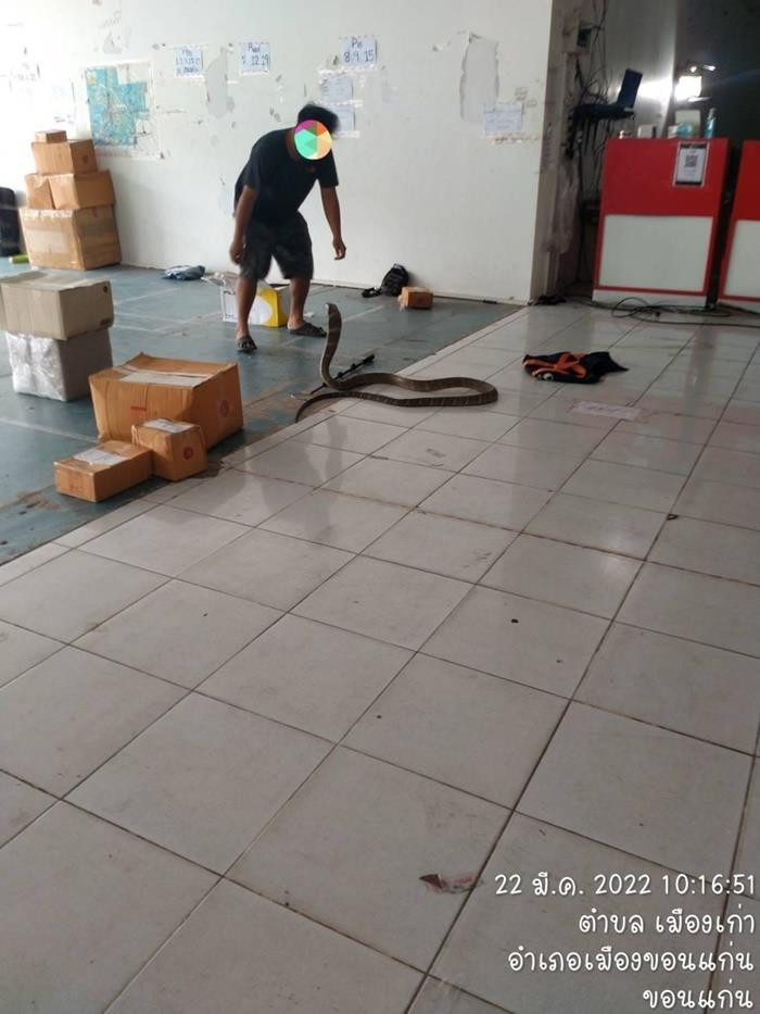 Nghe âm thanh lạ trong bưu kiện, mở ra mới tá hỏa vì món hàng cực nguy hiểm - 4