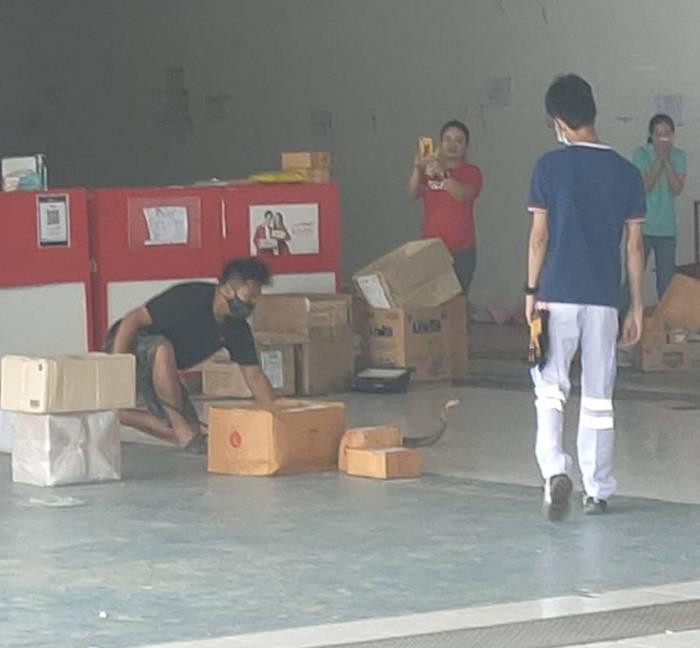 Nghe âm thanh lạ trong bưu kiện, mở ra mới tá hỏa vì món hàng cực nguy hiểm - 3