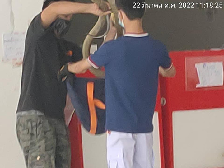 Nghe âm thanh lạ trong bưu kiện, mở ra mới tá hỏa vì món hàng cực nguy hiểm - 5