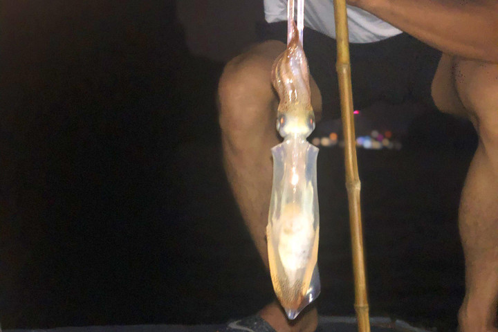 2 triệu đồng một chuyến săn mực ban đêm ở giữa vịnh Hạ Long - 8