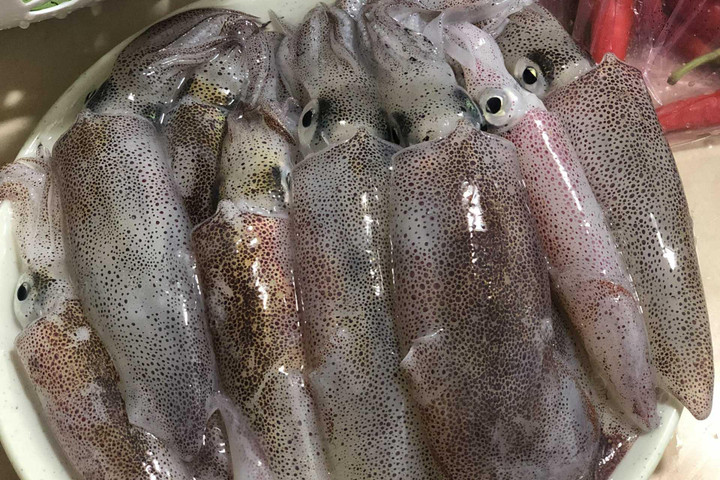 2 triệu đồng một chuyến săn mực ban đêm ở giữa vịnh Hạ Long - 13