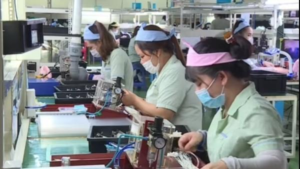 Lãi suất 60% năm, giám đốc cắn răng vay tín dụng đen - 2