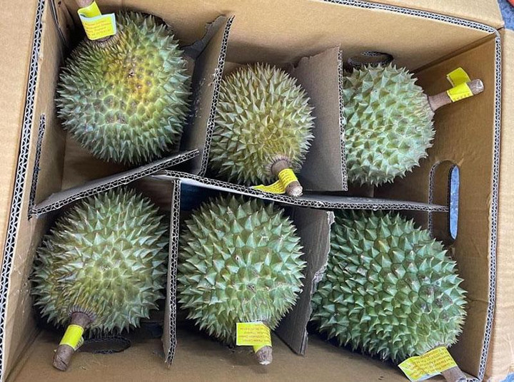 Sầu riêng Thái Lan dội chợ, giá đắt gấp đôi hàng Việt vẫn ‘cháy hàng’ - 3