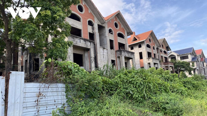 Đất đai chưa sử dụng, lãng phí hoặc sai mục đích xảy ra ở hầu hết địa phương - 1