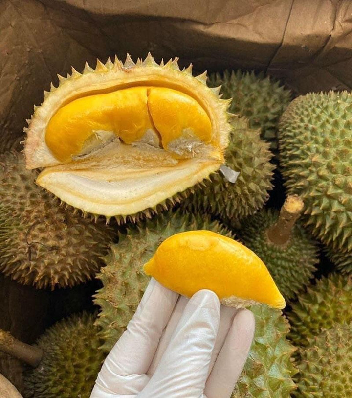 Sầu riêng Thái Lan dội chợ, giá đắt gấp đôi hàng Việt vẫn ‘cháy hàng’ - 2