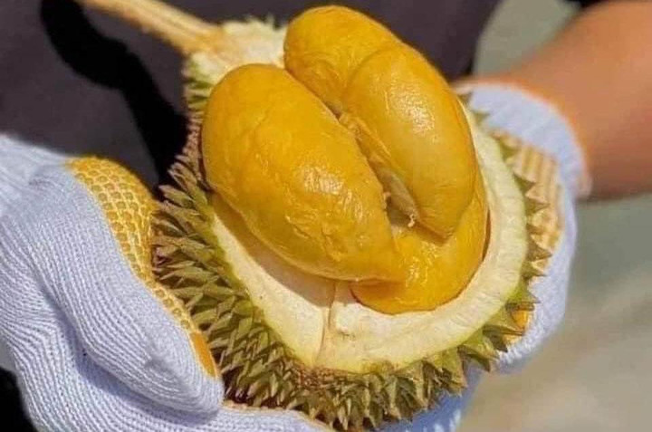 Sầu riêng Thái Lan dội chợ, giá đắt gấp đôi hàng Việt vẫn ‘cháy hàng’ - 1