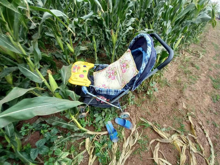 Tìm kiếm 3 mẹ con nữ giáo viên ở Hải Dương nghi mất tích - 2