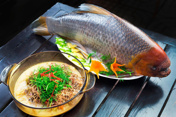 Giới sành ăn chi tiền triệu để nếm thử 'Văn Lang đệ nhất ngư' có bờ môi độc lạ - 2