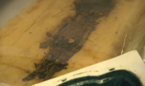 Vén màn bí ẩn lăng mộ đầy ắp vàng bạc của vua Tutankhamun - 2