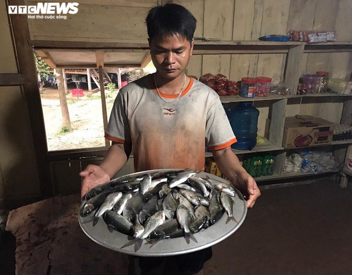 Ảnh: Nửa đêm rọi đèn, ngâm mình dưới suối săn loài cá 'điên' ở Quảng Trị - 9