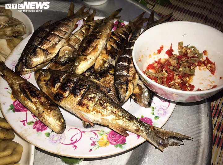 Ảnh: Nửa đêm rọi đèn, ngâm mình dưới suối săn loài cá 'điên' ở Quảng Trị - 8